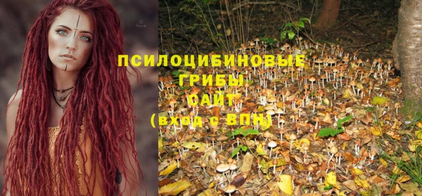 меф Коряжма